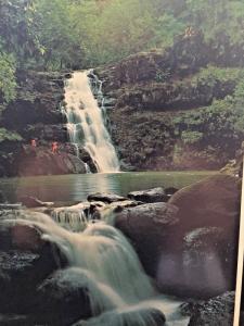 Postcard Waimea Falls, Oahu, HA  4 x 6    Y5