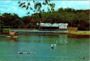 Kuala Lumpur, Malaysia  NATIONAL PARK  Recreational Area/Lake  4X6 Postcard