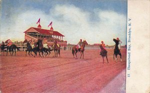 Race Track, Sheepshead Bay, Brooklyn, N.Y., Early Postcard, Used in 1909