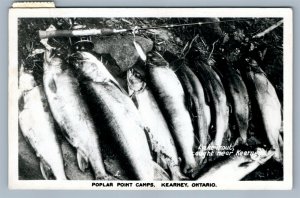 KEARNEY CANADA POPLAR POINT FISHING CAMPS ANTIQUE REAL PHOTO POSTCARD RPPC