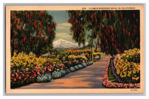 Postcard CA Flower Bordered Walk California