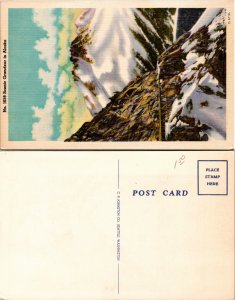 Scenic Grandeur, Alaska (22571