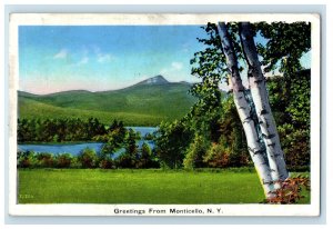 1937 Nature Scene, Greetings from Monticello New York NY Posted Postcard