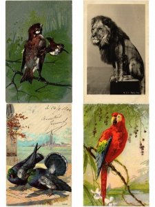 ANIMALS ANIMAUX MIX 300 CPA Pre - 1940