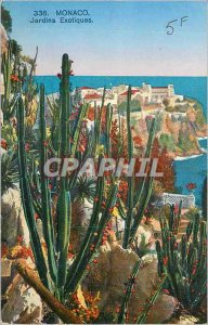 Old Postcard Monaco Exotic Gardens