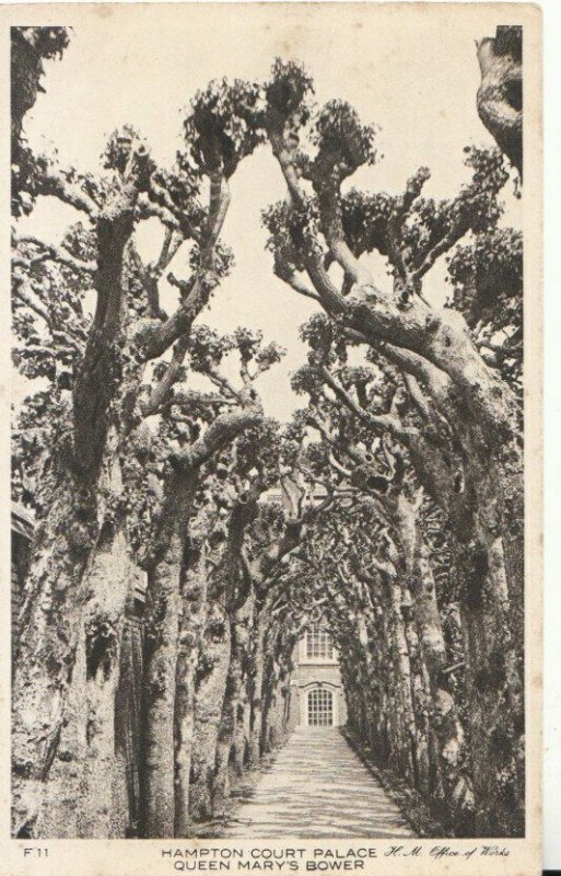 Middlesex Postcard - Hampton Court Palace - Queen Mary's Bower - TZ11027