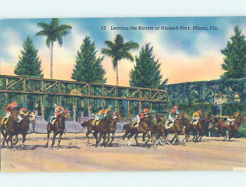 Pre-Chrome HORSE RACING SCENE Hialeah - Near Miami Beach Florida FL AG5592