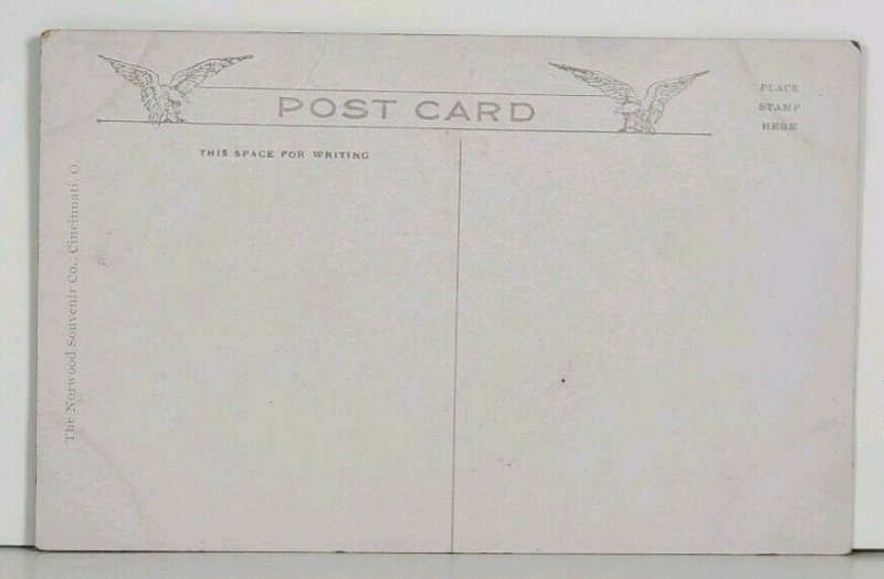 Cincinnati Ohio St. Peter's Cathedral Postcard J18