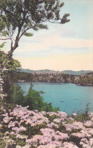 The Wildmere Catskills Lake Minnewaska Ulster County Albertype