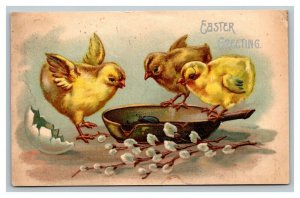 Vintage 1909 International Art Easter Postcard Cute Chicks Skillet with Beetle