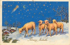 Italy Buon Natale Christmas Fantasy sheep lambs moon stars 1933 postcard