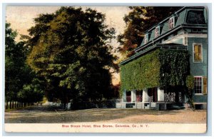 1909 Blue Stores Hotel Blue Stores Columbia Ville Exterior Co New York Postcard