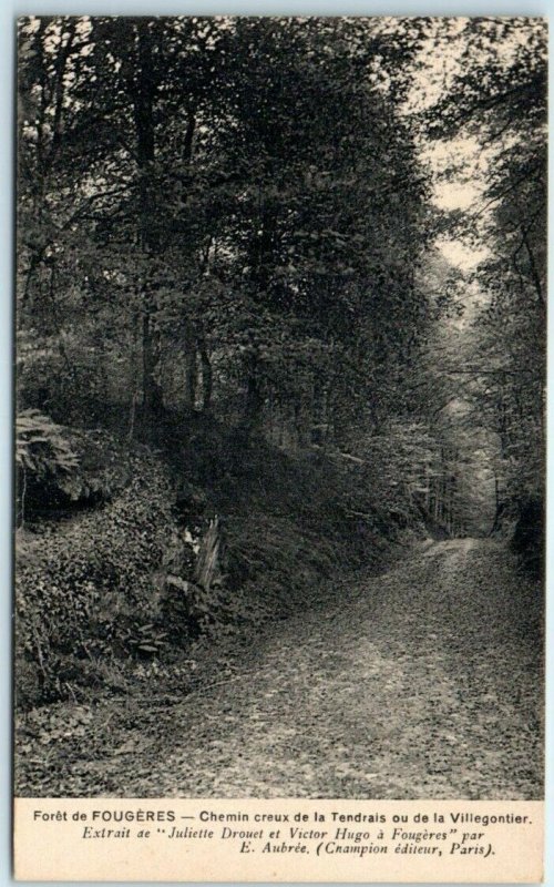 M-39018 Hollow path of Tendrais or Villegontier Forest of Fougères France