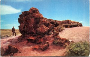 postcard Arizona - Petrified Forest - Old Faithful Log