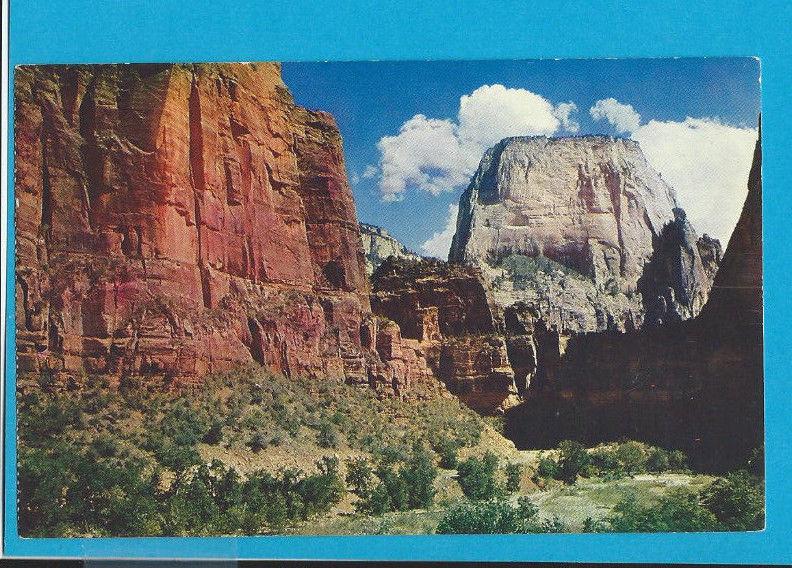  Postcard Great White Throne Zion National Park  Utah   # 225