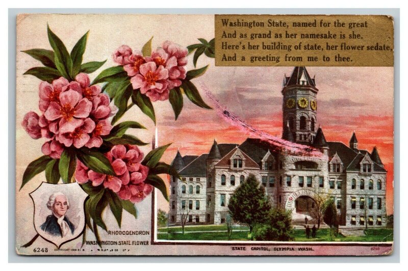 Vintage 1910 Postcard State Capitol Building Rhododendron Olympia Washington