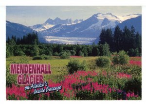 AK - Mendenhall Glacier      (continental size)