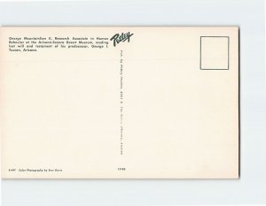 Postcard George Mountainlion II, Arizona-Sonora Desert Museum, Tucson, Arizona