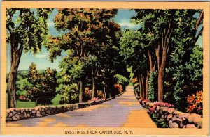 Postcard ROAD SCENE Cambridge New York NY AN8461