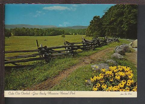 Cade Coves Overlook Great Smoky Mountains Postcard BIN 