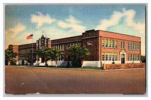 Public School Deming N. M. New Mexico Vintage Standard View Postcard