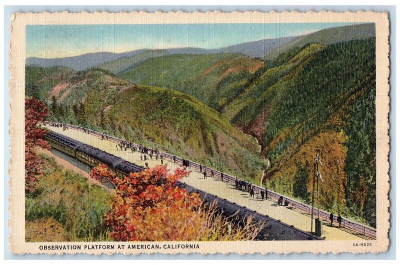 Observation Platform At American Sierra Nevada Mountain California CA Postcard 