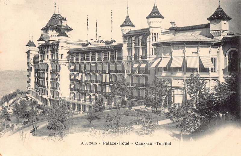 A695 Switzerland Palace Hotel Caux sur Territet vintage postcard