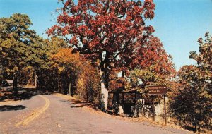 HOT SPRINGS MOUNTAIN ARKANSAS~SCENIC DRIVE FROM FOUNTAIN STREET~POSTCARD