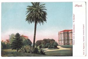 Italy Napoli Palazzo Reale di Capodimonte Garden Postcard