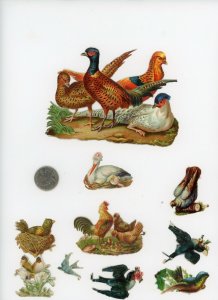 1880's Game Fowl Lot of 10 Die Cut Victorian Scrap X353