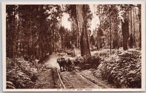 An Australia Bush Track 2d Centenary of Victoria Stamp Postcard H63