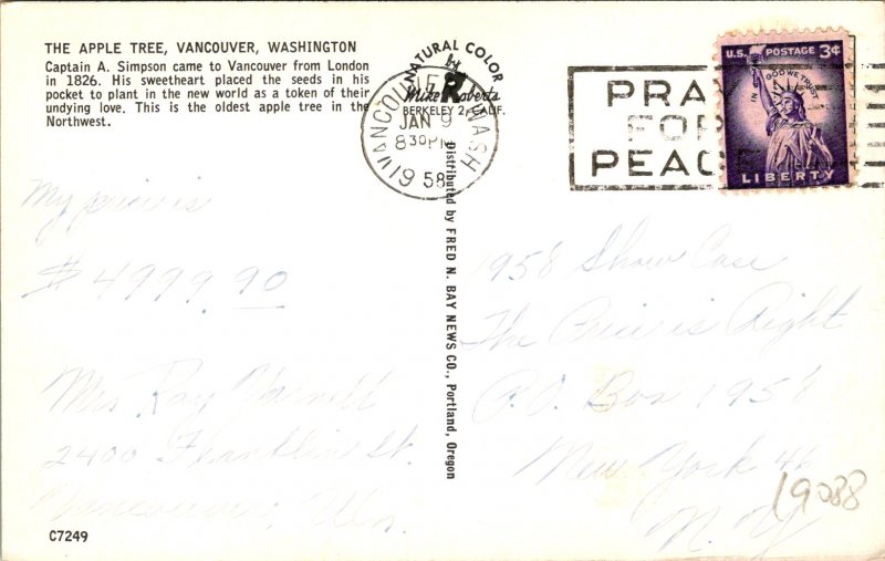 Vancouver WA The First Apple Tree Postcard used (19088)