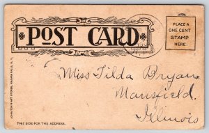 Comics~Man Hit In Head With Bricks~It Suddenly Struck Me~c1908 UDB Postcard