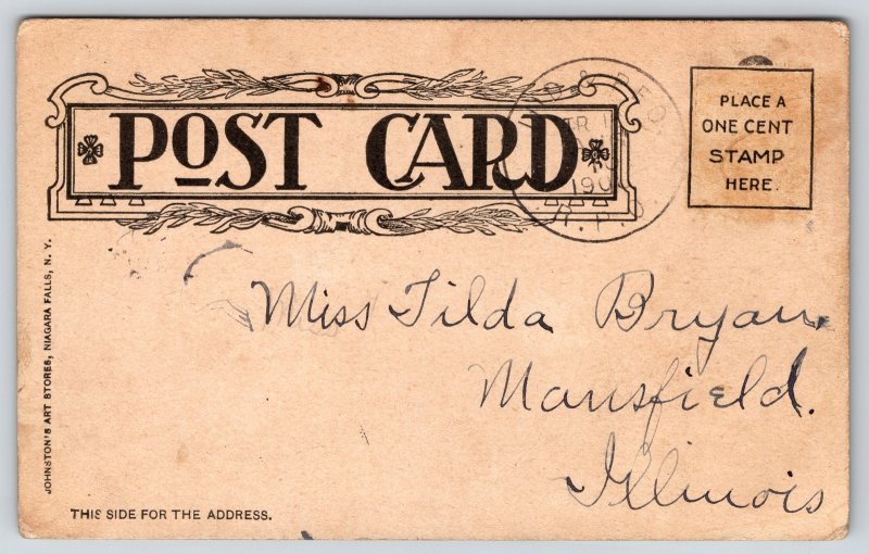 Comics~Man Hit In Head With Bricks~It Suddenly Struck Me~c1908 UDB Postcard