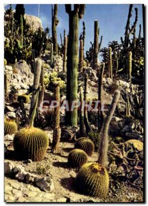 Modern Postcard Eze Village The Exotic Garden Cactus