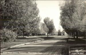 Montrose CO East Main St. Parkway Real Photo Postcard