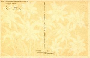 Flowers -  Edelweiss                             (Thor & Gyger #1795)