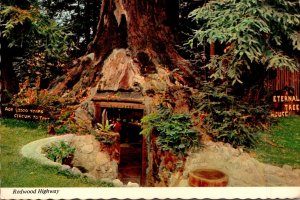 California Redwood Highway The Eternal Tree House