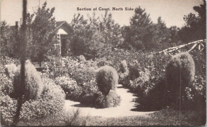 Historic White Owl Camp Beautiful North Side New Hampshire BW Postcard 