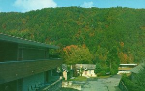 Vintage Postcard 1962 Bearskin Motel Near Park Entrance Gatlinburg Tennessee TN