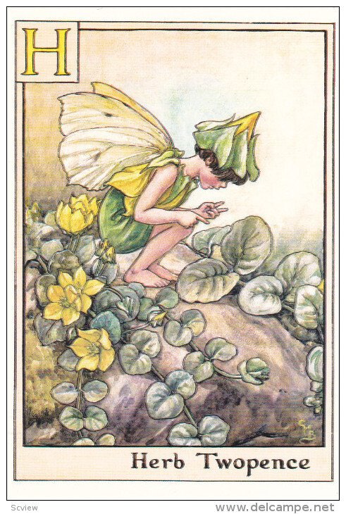 The Herb Twopence Fairy, 1995