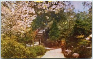 Postcard - Oriental Tea Garden in Golden Gate Park - San Francisco, California