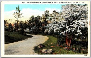 Dogwood Bloom Vanderbilt Rd. Baltimore Forest Asheville North Carolina Postcard