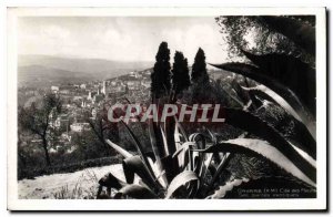 Old Postcard Grasse M Cite of exotic plants Flowers