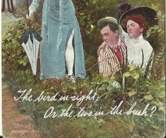 Romantic Sassy Old Postcard The bird in sight; or the two in the bush? Cheeky