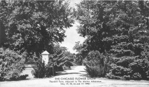 Postcard Illinois Chicago Flower Show Thornhill Farm Bodine 23-7476