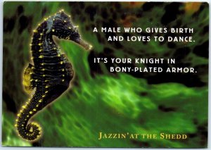 Postcard - Seahorse, Jazzin' At The Shedd Aquarium - Chicago, Illinois