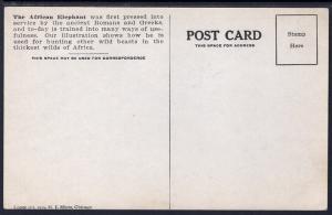 Hunters Riding Elephant