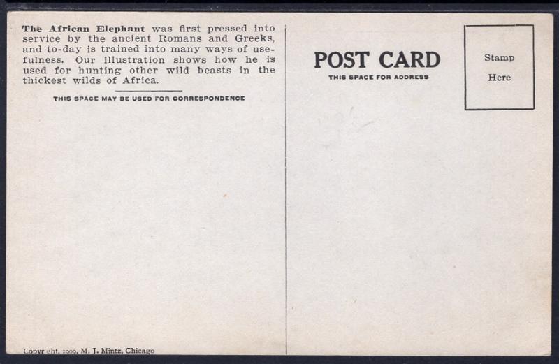 Hunters Riding Elephant