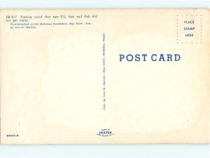 Vintage Post Card DB-817 Sailfish Taxidermy  Interiors  Texas  # 4550